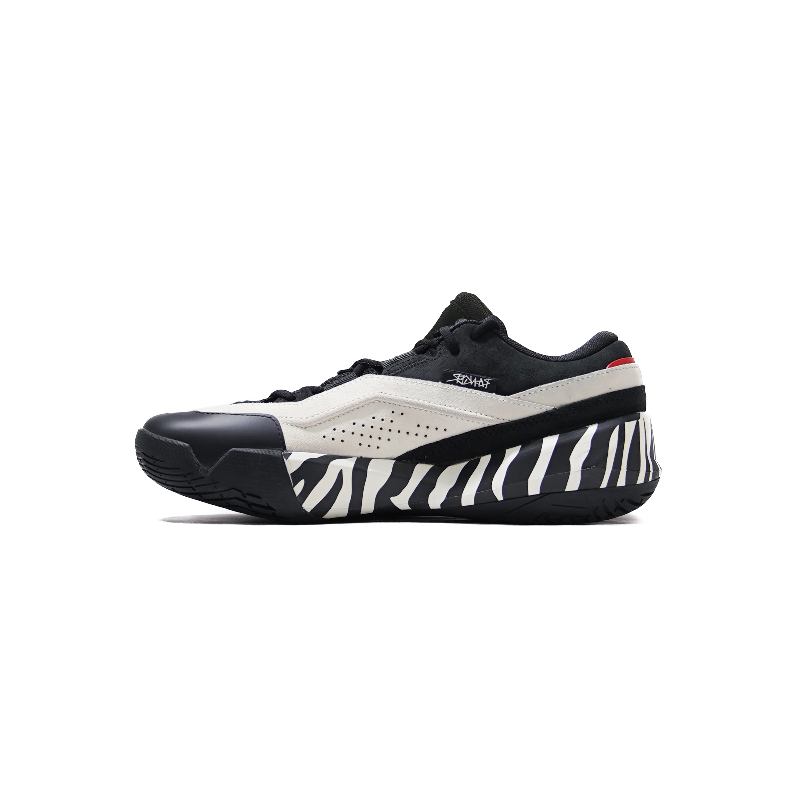 Ranger1 Zebra - Image 4